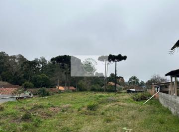 Terreno · 400m² · Terreno Urbano Com 400 m², Escriturado, Aceita Financiamento Bancário, Centro de Campo Alegre