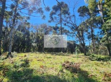 Rural · 10000m² · 1 Quarto · 1 Vaga · Terreno Para Sitio Com 10.000 m², Escriturado, Aceita Parcelamento E Carro