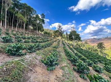 Terreno · 30000m² · Terreno Com Café Arábico E 30 Mil m