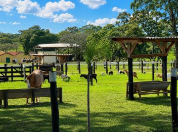 Rural · 363ha · 3 Quartos · 10 Vagas · Fazenda Completa de 75 Alqueires por R$16 Milhões: Oportunidade Rara Em Goiás