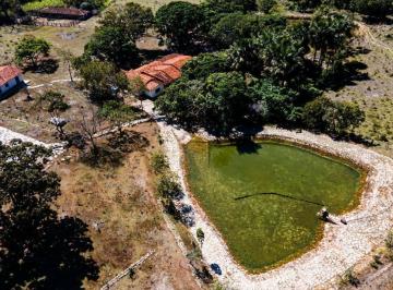 Rural · 305ha · Quintal Com Piscina, E Que Piscina.
