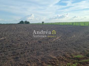 Rural · 1360m² · 6 Quartos · 10 Vagas · Fazenda Em Mato Grosso, Porto Alegre Do Norte/mt de 1360 m² 6 Quartos À Venda por R$