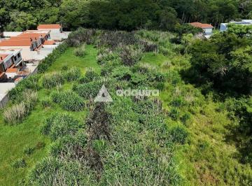 Terreno · 10000m² · Terreno Em Colônia Dona Luíza, Ponta Grossa/pr de 10000 m² À Venda por R$7.800.000