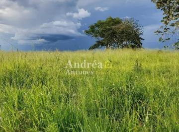 Rural · 3060m² · 5 Quartos · 20 Vagas · Fazenda Em Porto Alegre Do Norte, Porto Alegre Do Norte/mt de 3060 m² 5 Quartos À Venda por R$29.000