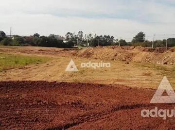 Terreno · 22047m² · Terreno Em Jardim Colonial, Castro/pr de 22047 m² À Venda por R$