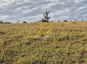 Rural · 40ha · Fazenda Para Lavoura de Cafe