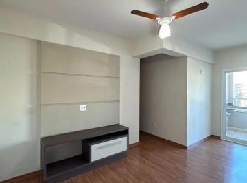 whatsapp-image-2026-07-28-at-09-48-551785424227370.jpeg · Imoveis - No Jardim Ipiranga