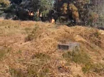 Terreno , São José da Lapa · Terreno 1500 m² Em São Jose Da Lapa
