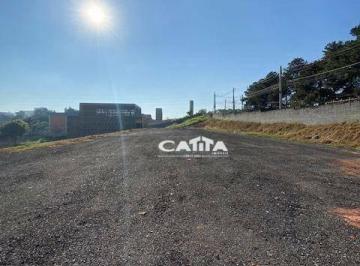 Terreno · 5700m² · Terreno Em Jardim Mutinga, Barueri/sp de 0 m² Para Locação R$26.000,00/mes
