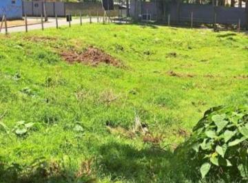 Terreno · 817m² · Terreno Em Gralha Azul, Fazenda Rio Grande/pr de 0 m² À Venda por R$700.000