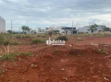 Terreno · 250m² · Terreno Disponível Para Venda No Bairro Loteamento Portal Do Vale II Em Uberlândia - Mg
