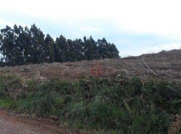 53Efl9zhhBfS4sBgof0viDPNps1vEaCw.jpg · Sítio À Venda Na Estrada Serra Grande Em Gramado!