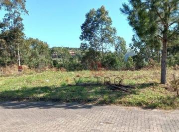 Vi5A9GfdQeAklCxX2KT03sUS2GbIxbB6.jpg · Terreno À Venda Em Canela!