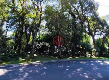 44337c69782b85914c83cea9189d0379.jpg · Terreno À Venda Em Gramado!