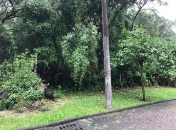 cc196b05573160f53fdad5b28ceb2266.jpg · Terreno À Venda Em Canela, No Reserva Da Serra!
