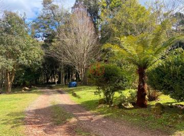 d4402516d97eedc4ff761fa7bcfbc610.jpg · Terreno À Venda Em Gramado!