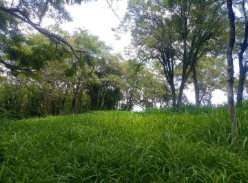 Foto 1 · Imoveis - Em Vista Alegre