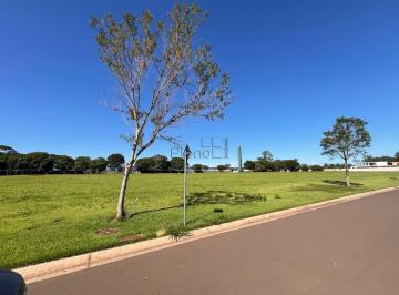 Foto 1 · Imoveis - Residencial Haras Patente