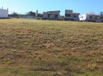 Foto 7 · Imoveis - No Parque São Quirino