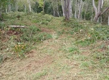 Terreno · 601m² · Terreno Em Parque Do Imbui, Teresópolis/rj de 601 m² À Venda por R$140.000