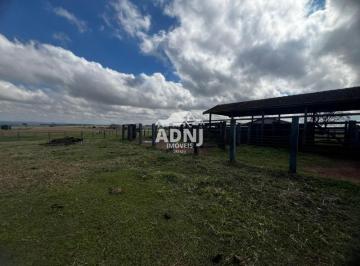 Foto 01 · Fazenda À Venda Em Umuarama - Pr Com 35alqueires de Área