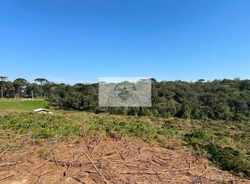 Rural · 10000m² · 1 Quarto · Terreno Para Sitio, Apenas 50 m Do Asfalto, Escriturado, Com Riacho Nos Fundos
