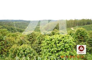 Outras · Fazenda/sítio (Fazenda)