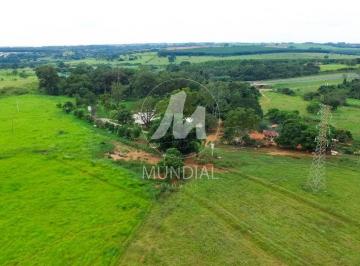 Terreno/Lote · Área (área)
