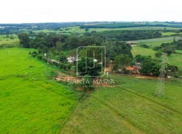 Terreno/Lote · Área (área)