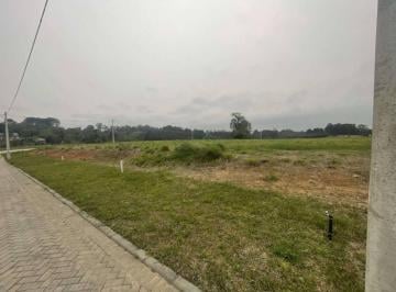 Terreno · 600m² · Terreno À Venda - Fiuza