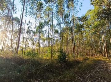 Terreno · 20968m² · Terreno Em Sebastiana, Teresópolis/rj de 20968 m² À Venda por R$220.000