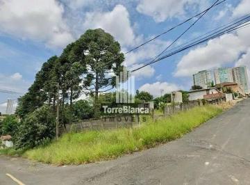 Terreno · 1386m² · Terreno Em Olarias, Ponta Grossa/pr de 1386 m² À Venda por R$570.000