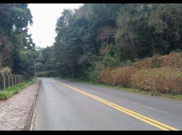 Terreno · 20000m² · Área Em Ferraria, Campo Largo/pr de 0 m² À Venda por R$3.900.000
