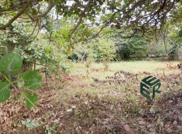 Terreno · 2880m² · Procurando Terreno Top? Confira Esse