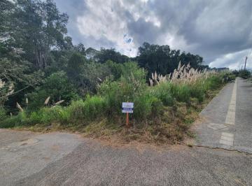 Terreno · 517m² · Terreno À Venda - No Universitário