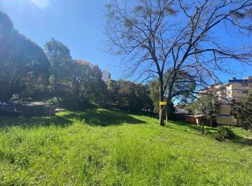 Terreno · 1901m² · Terreno À Venda - Em Borgo
