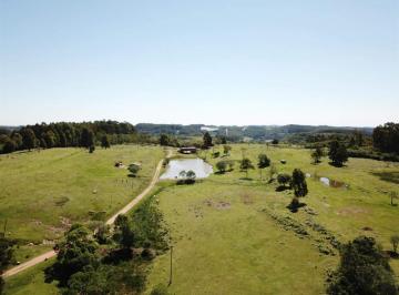 Rural · 20000m² · Rurais À Venda - Em Nova Sardenha