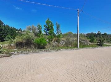 Terreno · 360m² · Terreno À Venda - Em Alfândega