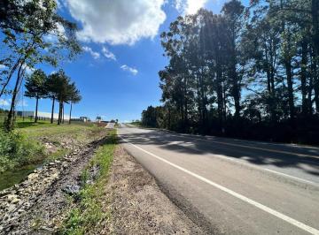 Apartamento · 30000m² · Apartamento À Venda - Em São Roque