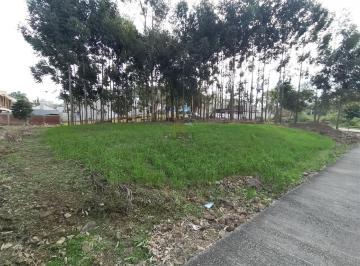Terreno · 450m² · Terreno À Venda - No Universitário