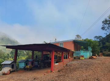 Rural · 50000m² · Rurais À Venda - Caminho Da Eulália