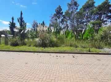 Terreno · 386m² · Terreno À Venda - Em Alfândega