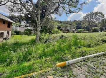 Terreno · 446m² · Terreno À Venda - Em Cairú