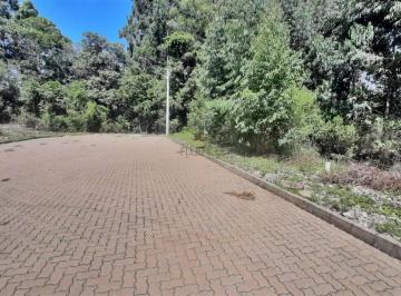 Terreno · 390m² · Terreno À Venda - Em Alfândega