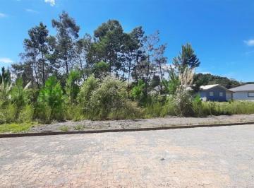 Terreno · 427m² · Terreno À Venda - Em Alfândega