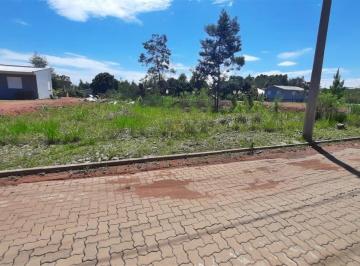 Terreno · 360m² · Terreno À Venda - Em Alfândega