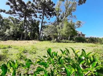 Terreno · 353m² · Terreno À Venda - Em Juventude
