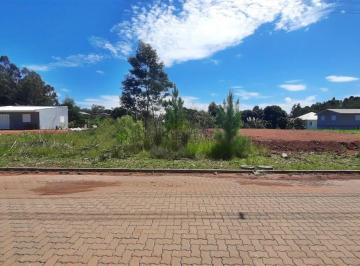 Terreno · 360m² · Terreno À Venda - Em Alfândega