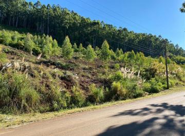 Terreno · 1000m² · Terreno À Venda - Zona Rural