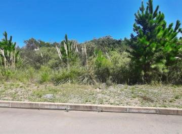 Terreno · 403m² · Terreno À Venda - Em Alfândega